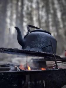 a teapot on top of a stove with fire at Treetop Ekne - Hytte i skogen med hengebru in Levanger