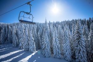 CHARMANT T3 AVEC VUE MONTAGNE et PARKING PRIVATIF v zime