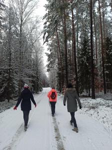 Mazurska Leśniczówka Nowy Zyzdrój v zimě
