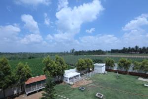 Příroda nedaleko hotelu