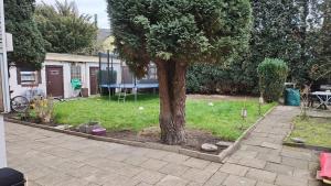 uma árvore sentada no meio de um quintal em Moderne Wohnung mit Gartenzugang em Essen