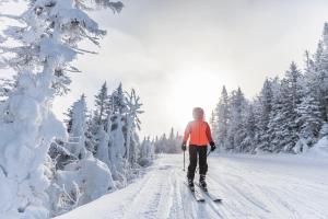 CHARMANT T3 AVEC VUE MONTAGNE et PARKING PRIVATIF v zime