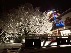 un árbol cubierto de nieve frente a un edificio con un banco en Hôtel le Jalouvre, en Mont-Saxonnex