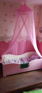a pink bed with a canopy in a room at La Grille Fleurie, chambre d'hôte chez l'habitant in Arthonnay