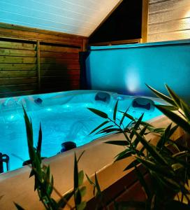 a jacuzzi tub in a room with a plant at Domaine les 2 Mondes in Aydat