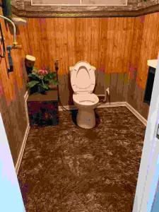 ein Bad mit WC in einem Zimmer in der Unterkunft วังหินบังกะโล 