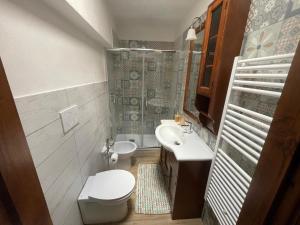 een kleine badkamer met een toilet en een wastafel bij La casina in Voltaia in Piancastagnaio