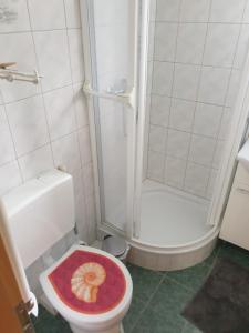 a bathroom with a shower and a toilet with a rug at Ferienhaus Star Villa-Pälitzsee in Großzerlang