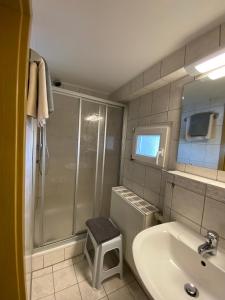 a bathroom with a shower and a sink with a stool at Hotel Rotgiesserhaus in Kurort Oberwiesenthal
