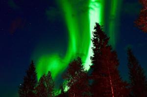 una imagen de la aurora boreal en el cielo en Villa Sol Del Luosto, en Luosto