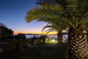 a palm tree with the sunset in the background at Luxury Sunset Villa Trogir Private Beach in Okrug Donji