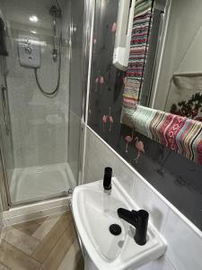 baño con lavabo y ducha con flamencos rosas en la pared en Maison Claire, en Chester