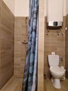 a bathroom with a toilet and a shower at Bem Downtown Apartment in Debrecen +15 photos