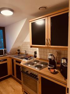 cocina con fregadero y fogones horno superior en LA MARIEFACTURE - Comme un Bateau sur l'Eau en Sarreguemines