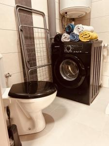 ein Badezimmer mit einem WC und einer Waschmaschine in der Unterkunft LA MARIEFACTURE - Comme une Forteresse in Neuf-Brisach