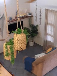 un salon avec un canapé et deux plantes en pot dans l'établissement Beach Cottage - Hole in the Wall Resort, à Hole in the Wall