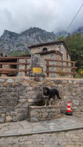 Gallery image of Albergue de Caín "El Diablo de la peña" in Caín
