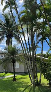 dwie palmy w ogrodzie obok domu w obiekcie Costa Verde Tabatinga, Caraguatatuba w mieście Caraguatatuba