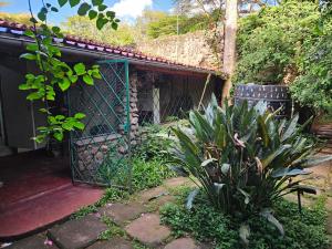 Zahrada ubytování Mad Vervet Nairobi Backpackers Hostel