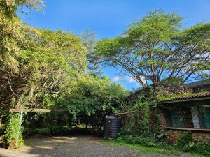 Zahrada ubytování Mad Vervet Nairobi Backpackers Hostel