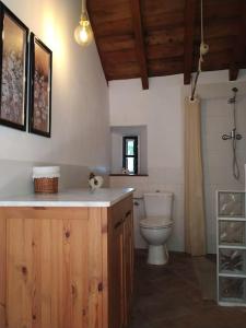 ein Bad mit einem WC und einem Waschbecken in der Unterkunft Casa Rural en Montellano (53km de Sevilla) in Montellano
