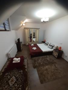 a large room with a bed and a mirror at Pensiunea IULIA in Rod