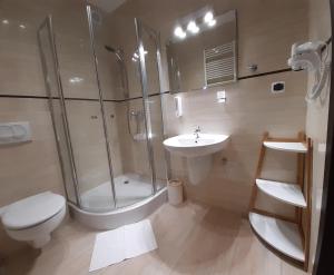 een badkamer met een douche, een toilet en een wastafel bij Apartament Szklar-Ski in Szklarska Poręba