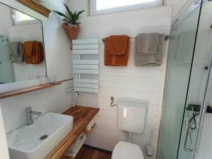 uma casa de banho com um WC, um lavatório e um chuveiro em landhaus-krk em Batomalj