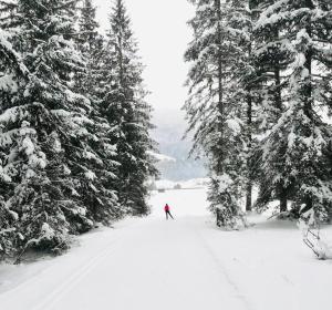 Obiekt Obersdorfer Hof zimą