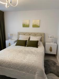 a bedroom with a bed with two paintings on the wall at Marijos apartamentai in Birštonas