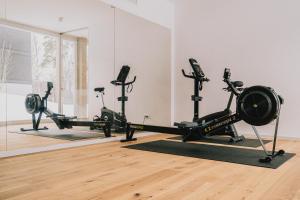 a gym with treadmills and exercise bikes in a room at TheChipp - Designapartment mit Seeblick, Pool, Sauna & Kamin in Bad Saarow