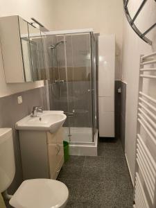 a bathroom with a shower and a toilet and a sink at Apartment im Herzen von Neusiedl am See in Neusiedl am See