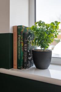 a shelf with books and a potted plant on it at Modern 2-Bed Townhouse in Kirkdale in Liverpool