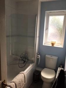 bagno con servizi igienici e finestra. di Beautiful Penthouse Apartment a Walton-on-Thames