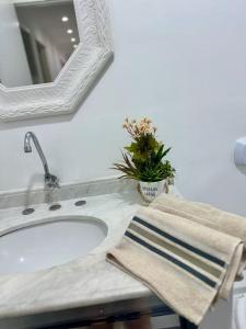 ein Badezimmer mit einem Waschbecken und einer Topfpflanze in der Unterkunft Apê a 4 min da Basílica in Aparecida