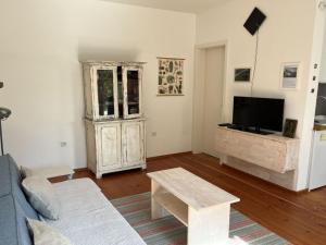 a living room with a blue couch and a tv at Holiday apartment Weinberghäusle in Sasbach am Kaiserstuhl