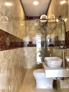 大叻的住宿－Villa - Hotel Nam Khang 2 Dalat，一间带卫生间和水槽的浴室