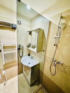 een kleine badkamer met een wastafel en een douche bij Penzion Chaloupka in Praag