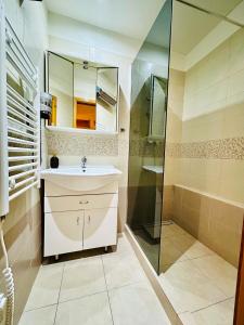 een badkamer met een wastafel en een douche bij Penzion Chaloupka in Praag