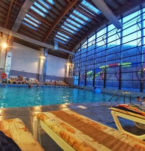 a large indoor swimming pool with people in the water at Vila Themis in Călimăneşti