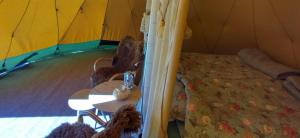 a room with a bed and a table in a tent at Västeräng Glamping in Lillandet