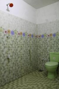 a bathroom with a green toilet in a room at ගයාන් ගෙස්ට් කතරගම in Kataragama