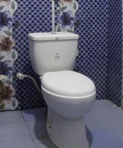 a bathroom with a white toilet in a room at ගයාන් ගෙස්ට් කතරගම in Kataragama