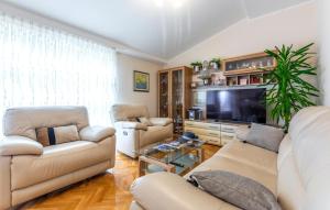 Televízia a/alebo spoločenská miestnosť v ubytovaní Apartment Raduniceva V