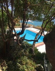 a swimming pool surrounded by trees and bushes at Repubblica delle pergole in Realmonte