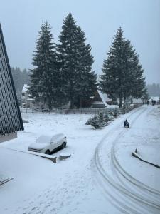 Apartman Vlašić Hary v zimě