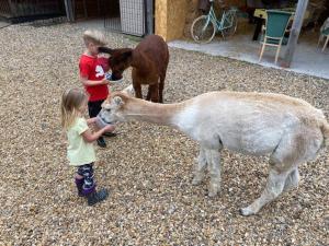 two young children feeding a lamb and a dog at Rhea Retreat - Bell Tent in Sittingbourne