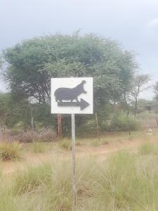 a sign with a picture of a rhino on it at Hippo Farm Apartment in Gobabis