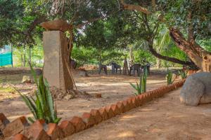 un groupe de zèbres debout à l'ombre des arbres dans l'établissement Bay Walk Residency, à Auroville