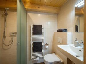 a bathroom with a toilet and a sink and a shower at Haus Hofbichl in Itter